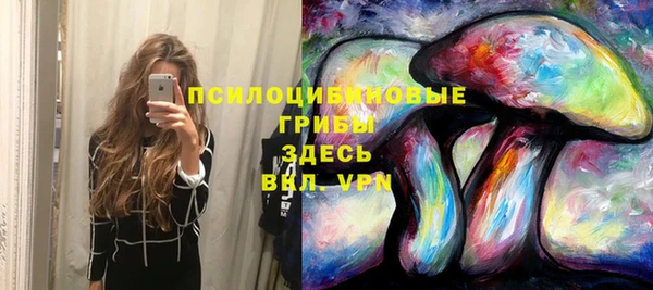 мет Аркадак