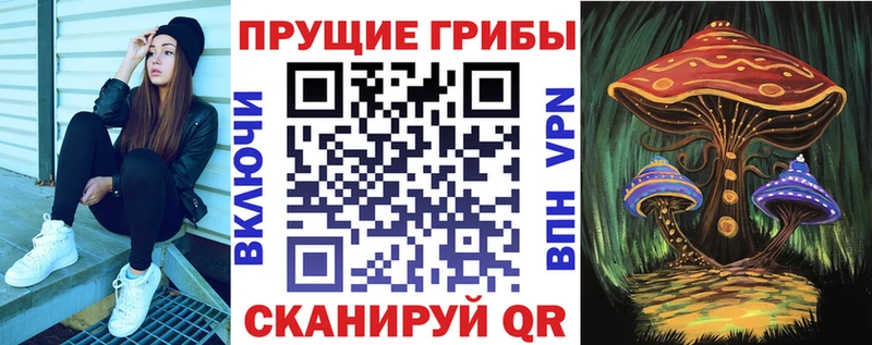 Галлюциногенные грибы Cubensis  ОМГ ОМГ как зайти  Пустошка 