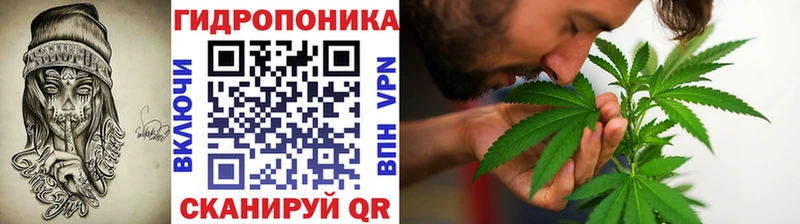Канабис ГИДРОПОН  дарнет шоп  mega как войти  Пустошка 